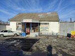 Grocery store (Zhalpak-Tobe Village, Jalpaqtóbe kóshesi, 378), grocery