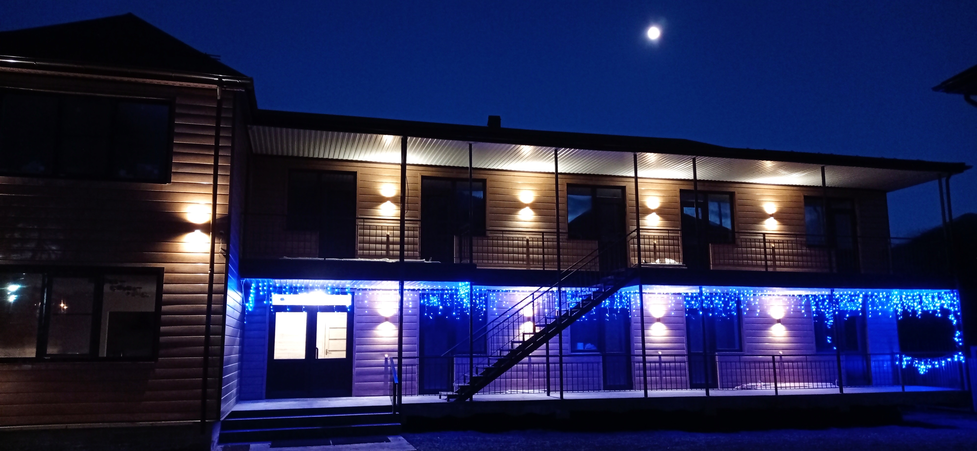 Фото Пихты Snow Point