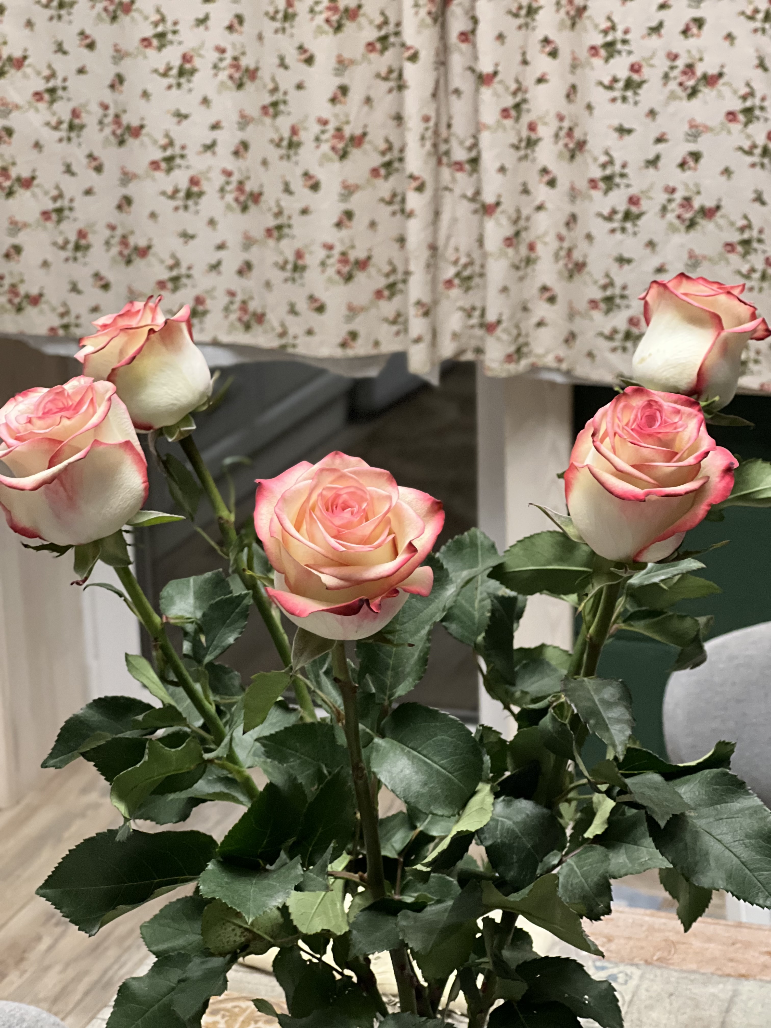 Фото Бабушкина дача