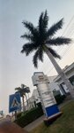 Promasidor (Okaikoi South, North Industrial Area, Dadeban Road, 65), food manufacturers