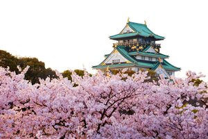 Гостиница Sotetsu Fresa Inn Osaka-Namba