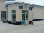 Regional Specialized Sports School of Olympic Reserve swimming (Sattar Erwbaev Street, 44) ، مدرسة رياضية