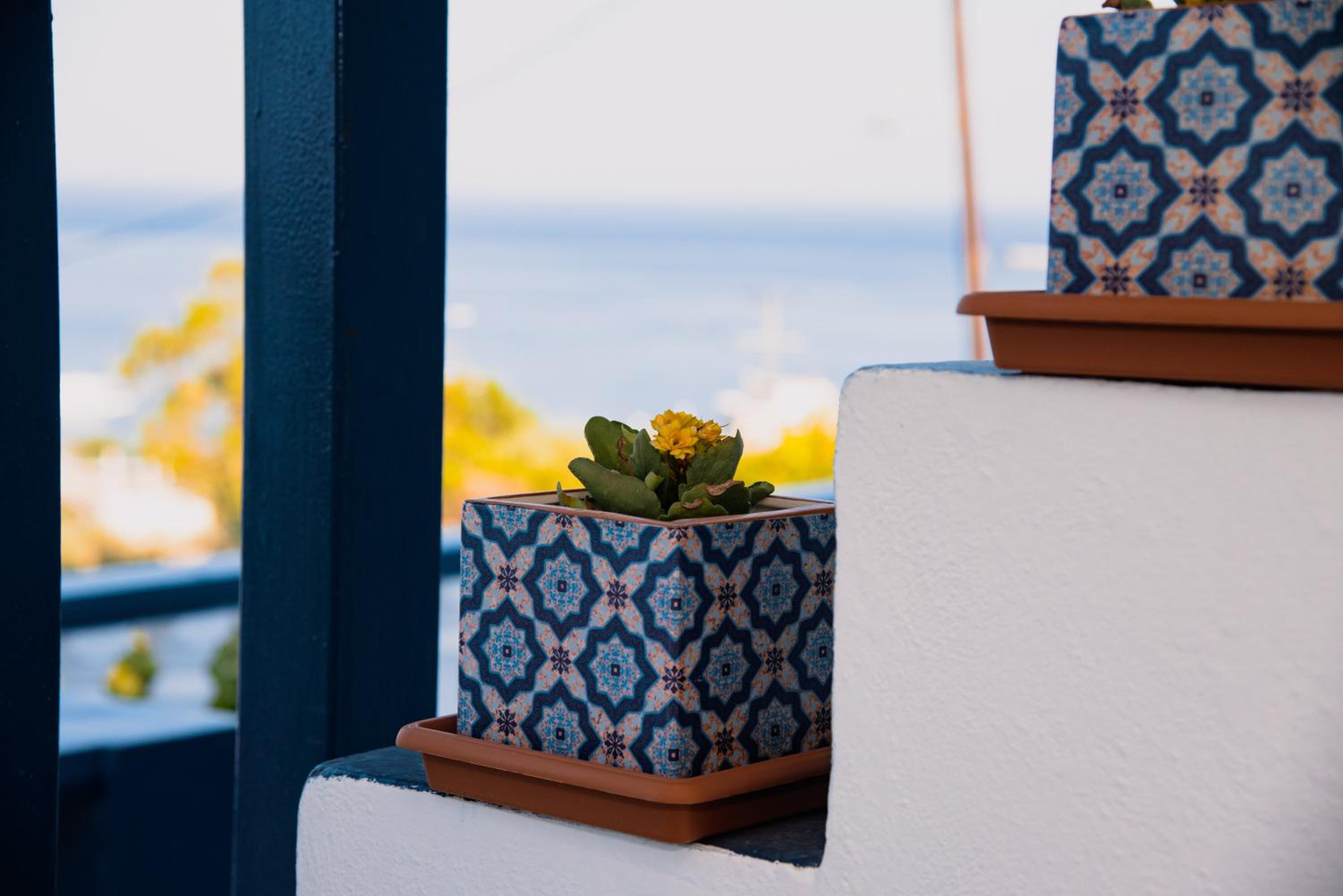 Фото Villa Stegna