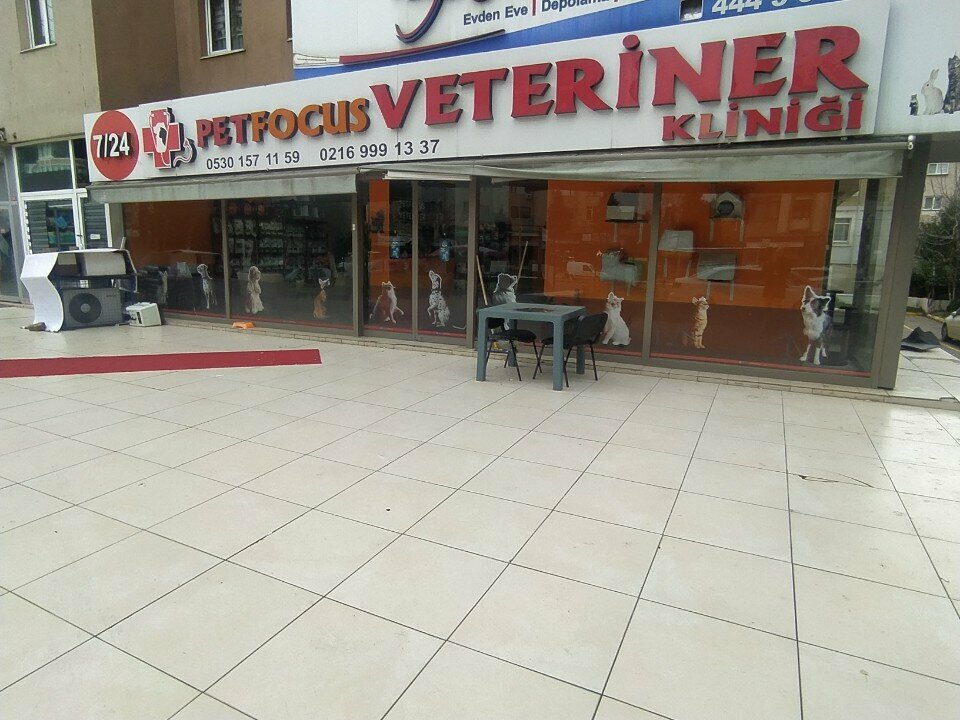 Haulage Gokturk Home to Home Transport, Istanbul, photo