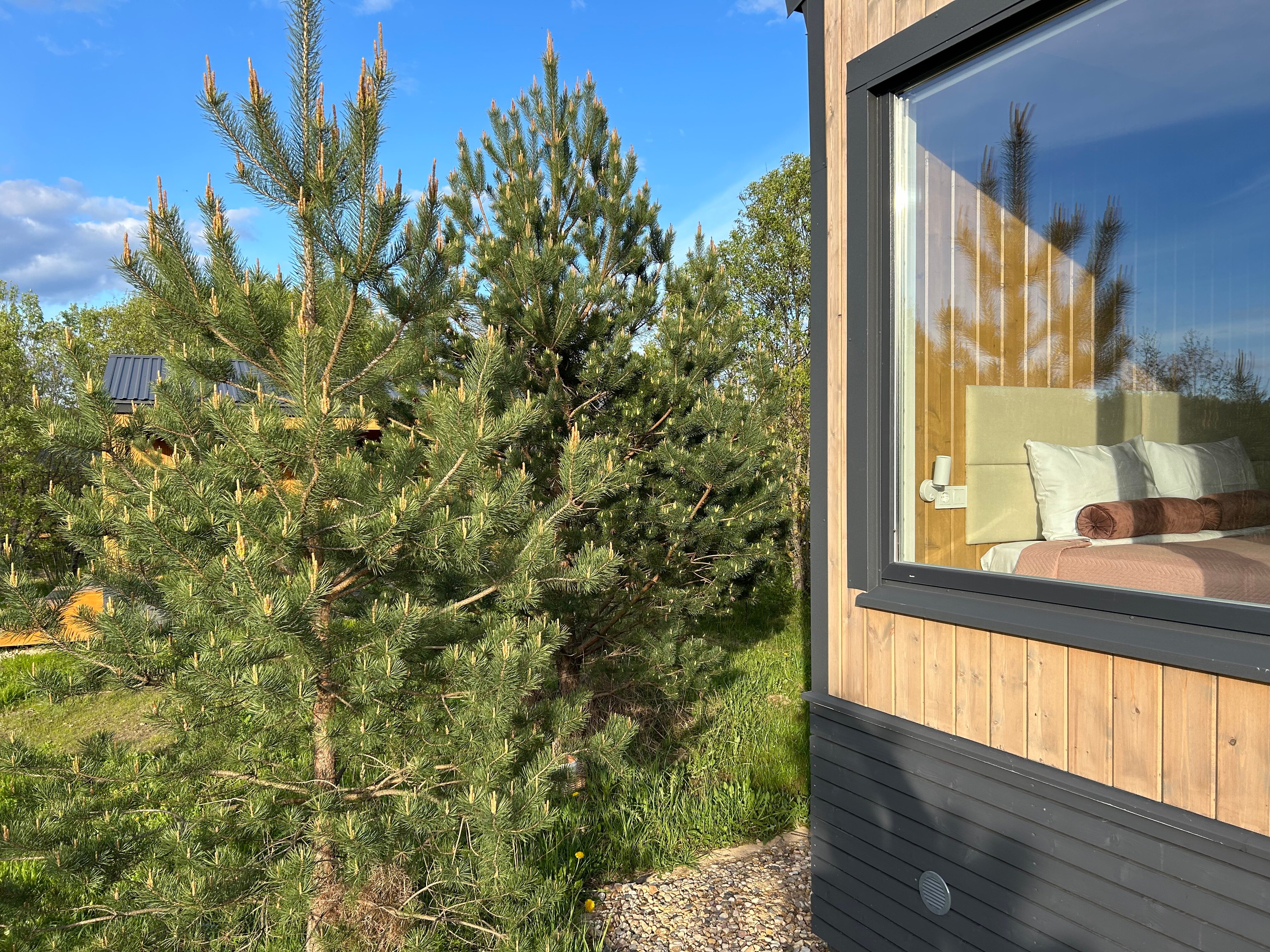 Фото Искона Дача