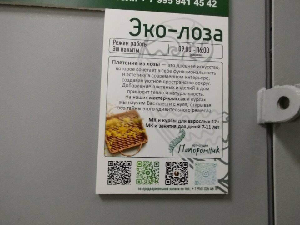 Courses and master classes Эко-лоза, Naberezhnye Chelny, photo