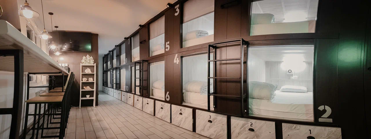 Фото Старый Лис