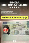 EasyVisa Agency (ulitsa Vatutina, 58), visa support