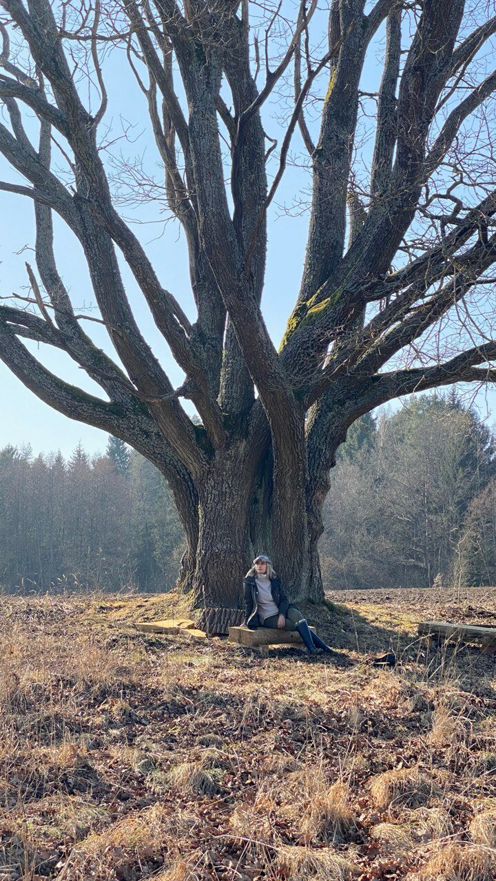 Фото Хутор Комаришки