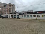 Гелевые шары (Saukova Street, 12), goods for holiday
