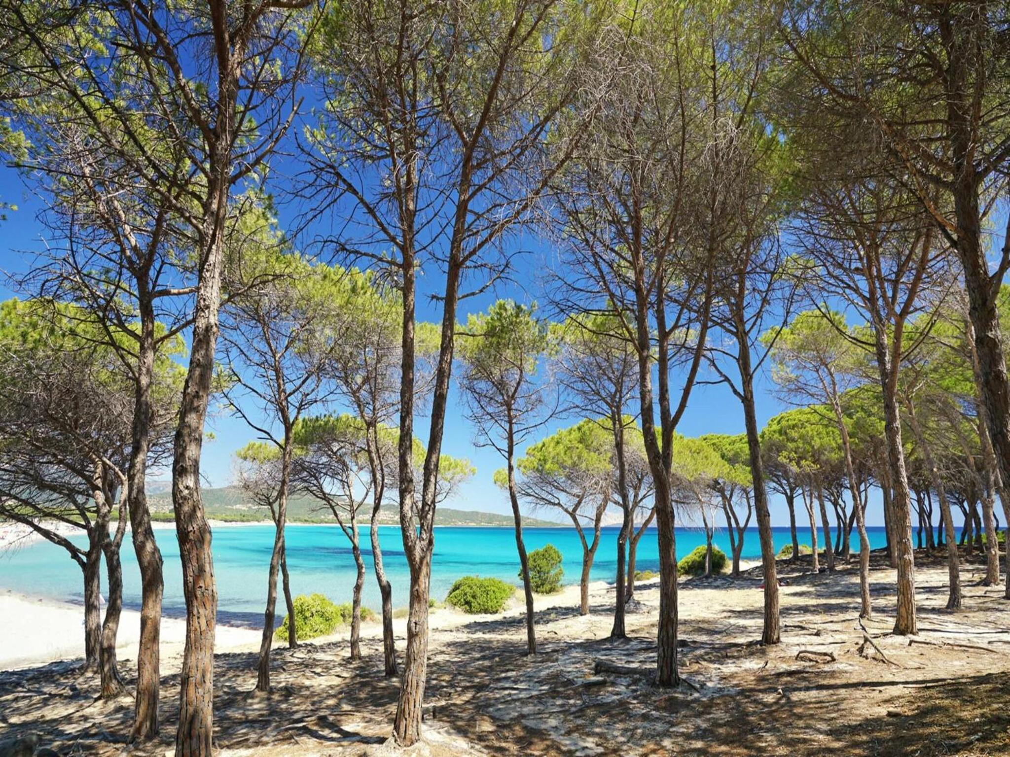 Фото Residence BouganVillage