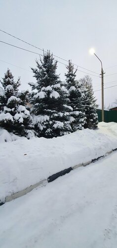 Сексуалдық