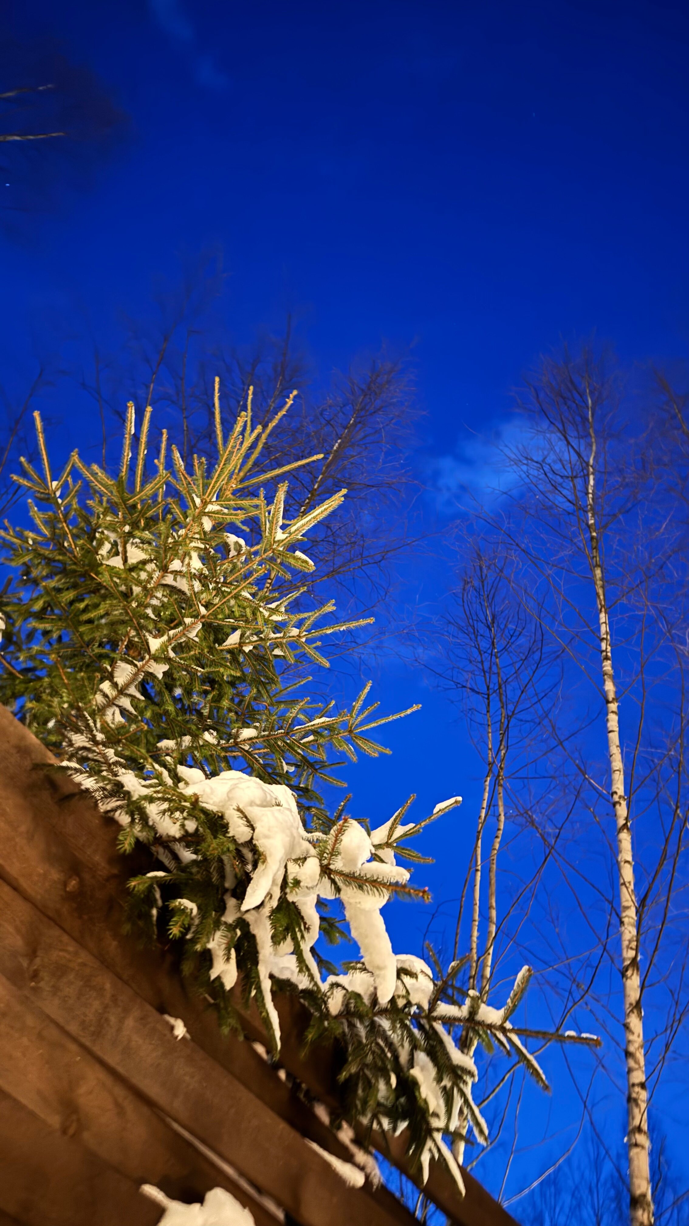 Фото Веденье