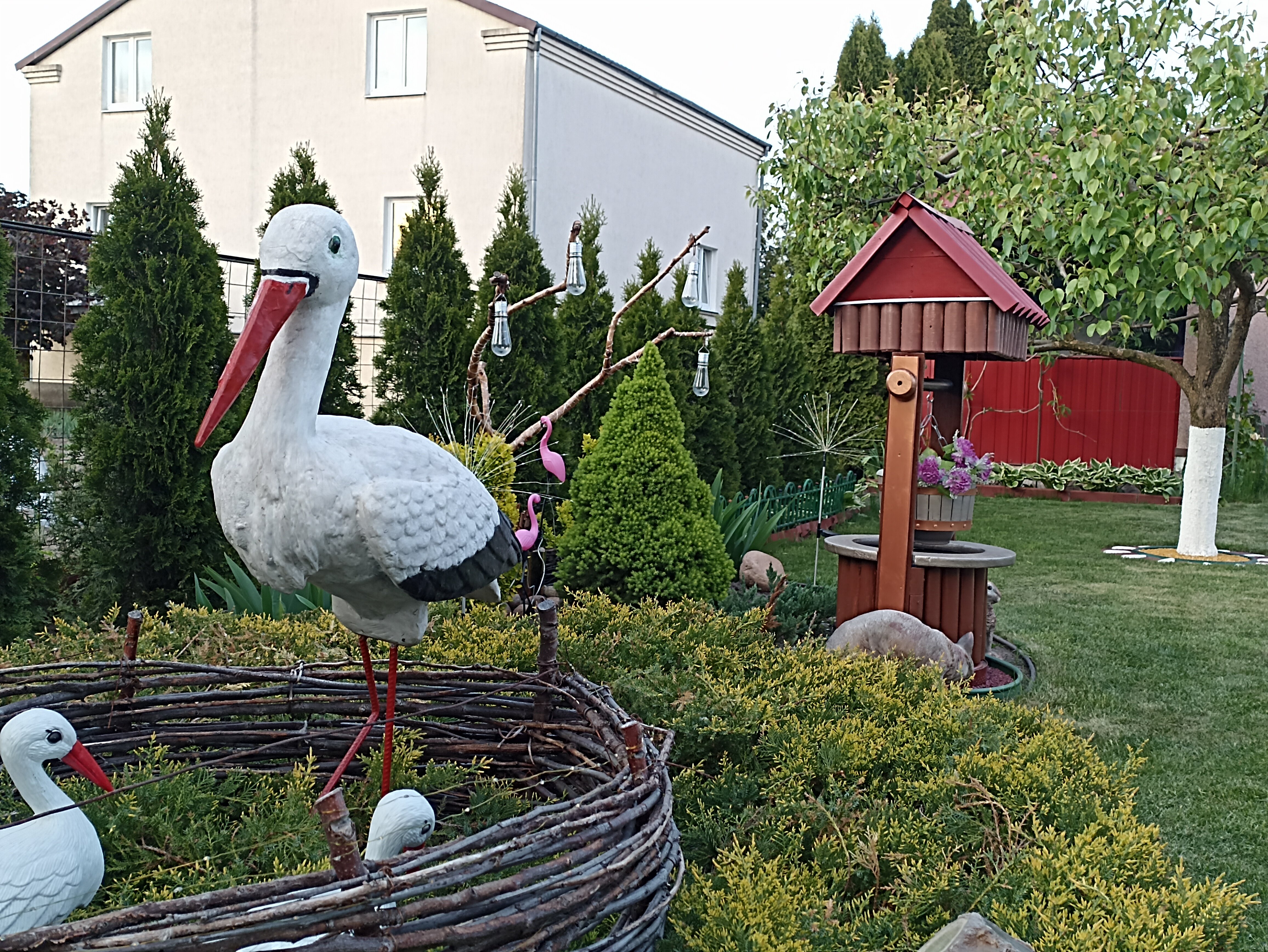 Фото Звезда