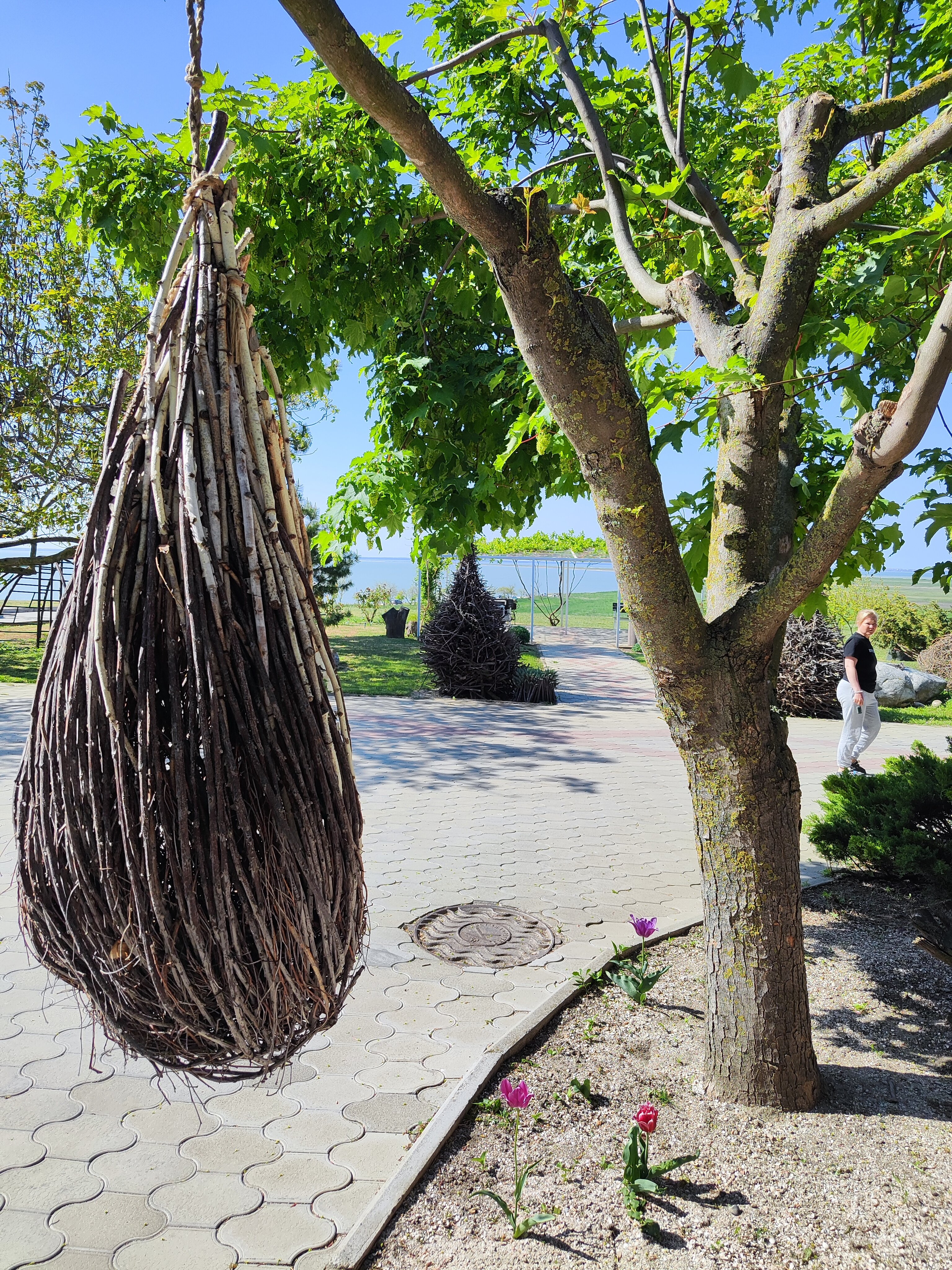 Фото Альбатрос