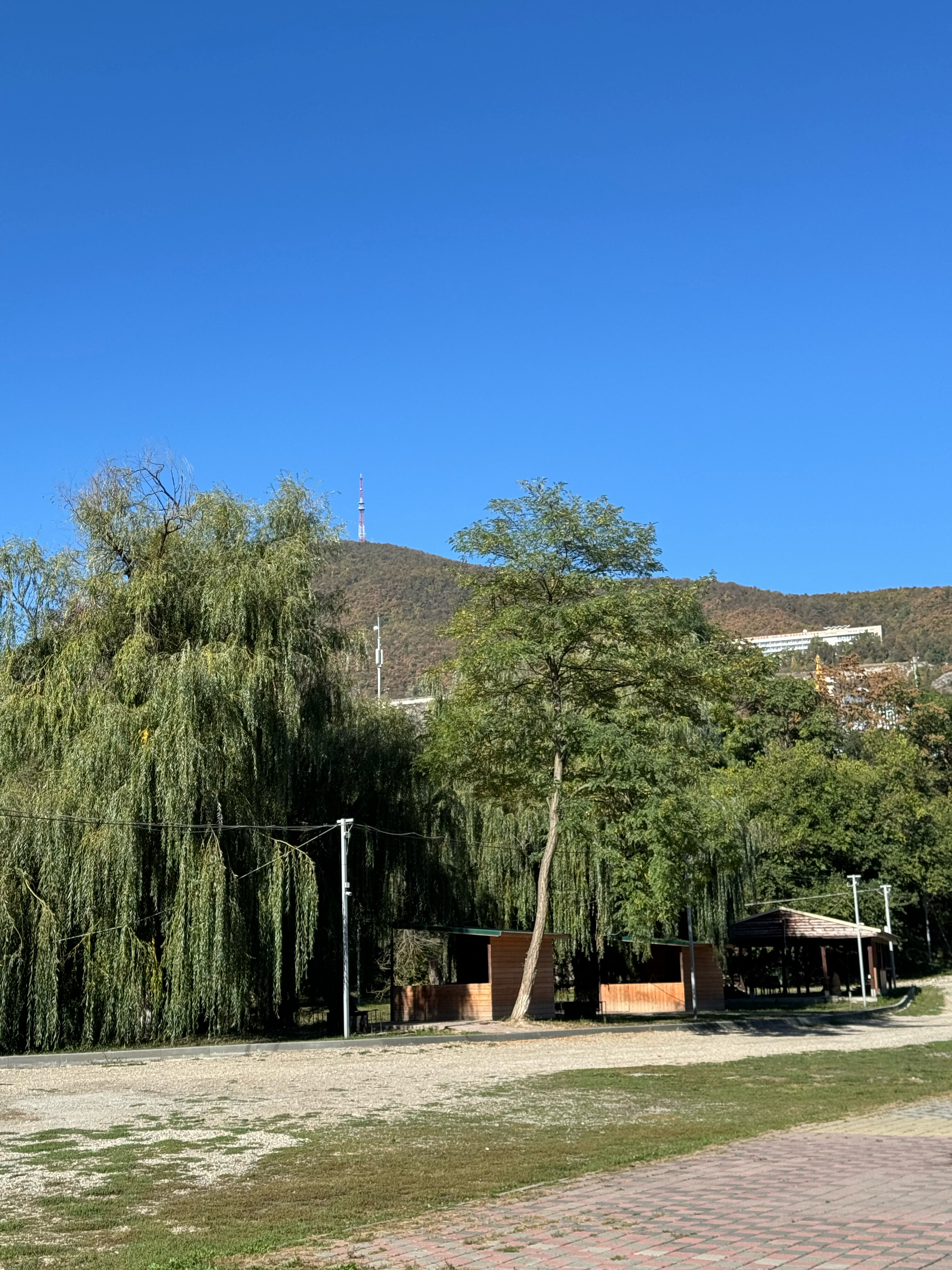 Фото У озера