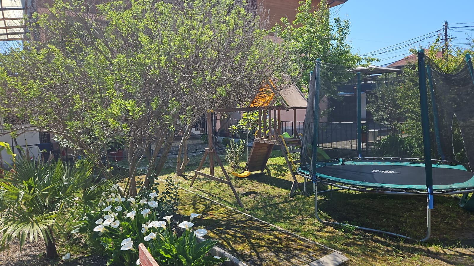 Фото Акварель