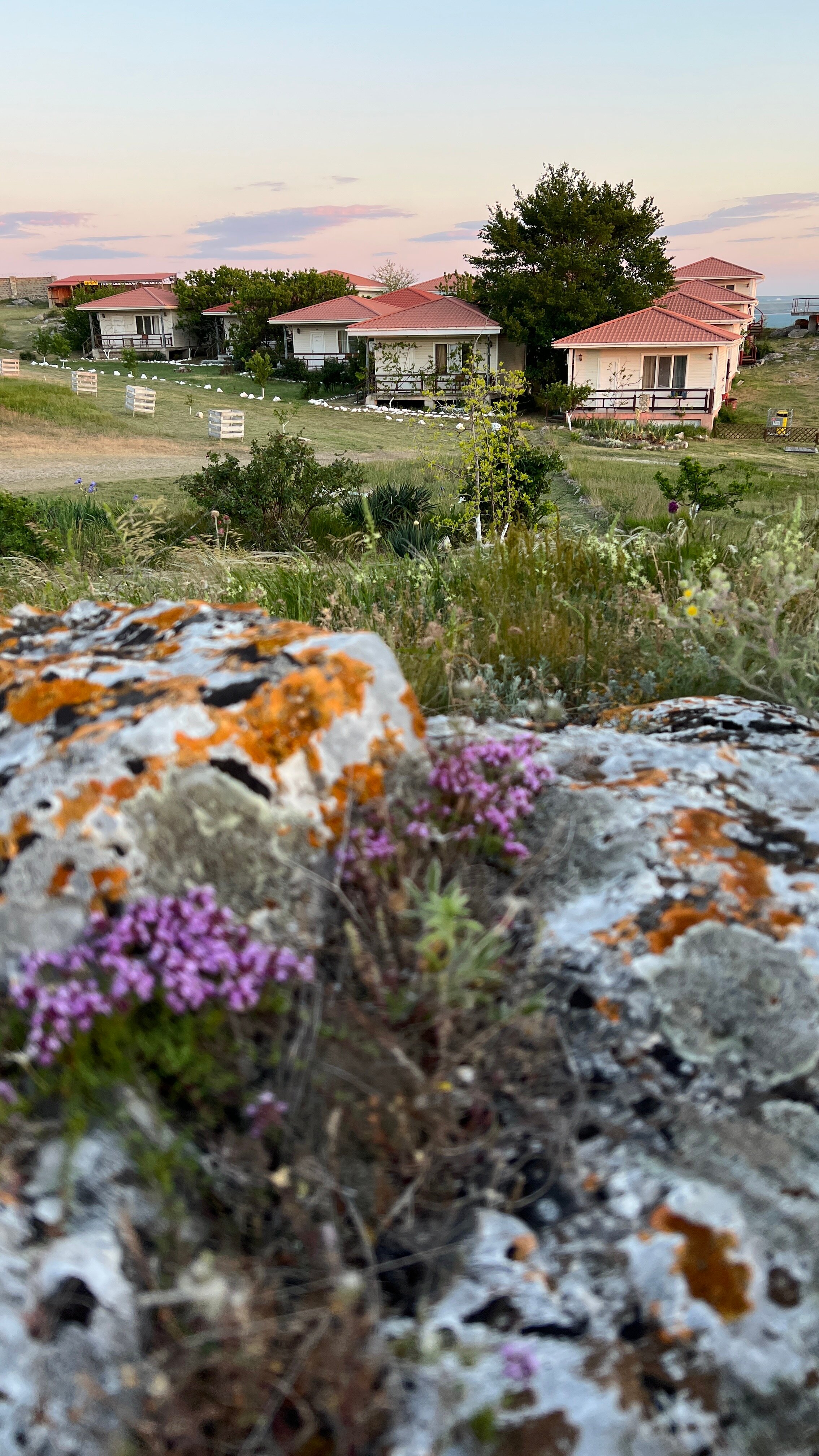 Фото Генеральские домики