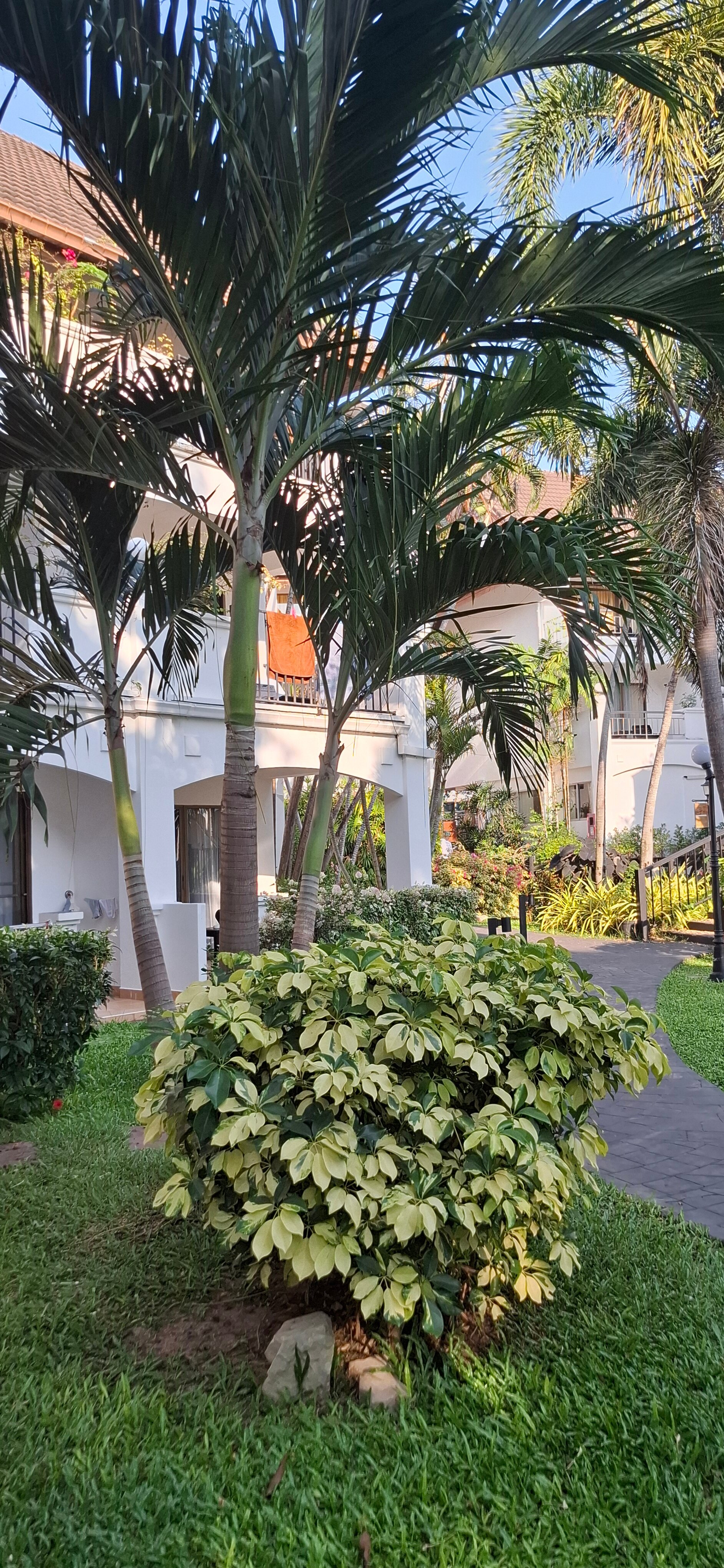 Фото Pinnacle Grand Jomtien Resort