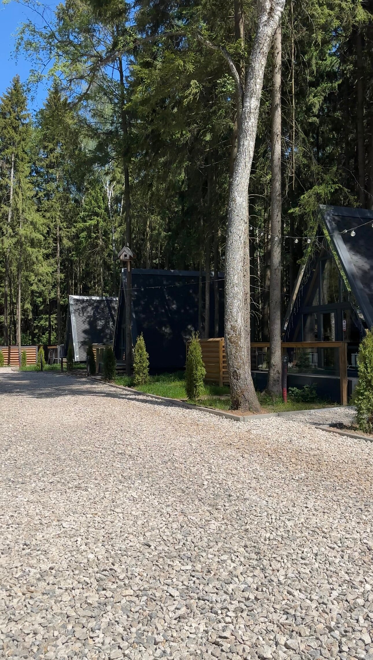 Фото Пайн Резортс