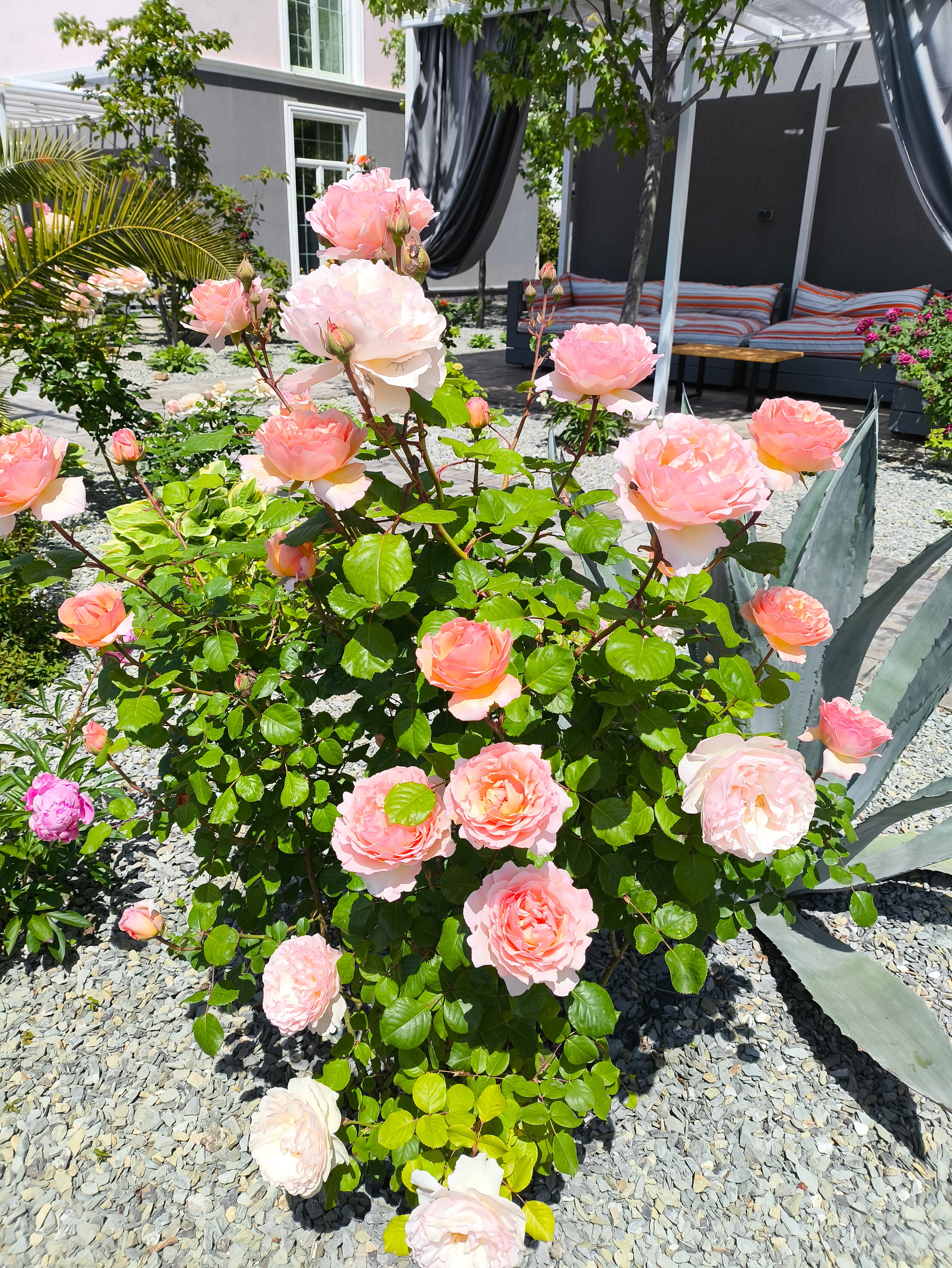 Фото Средиземье