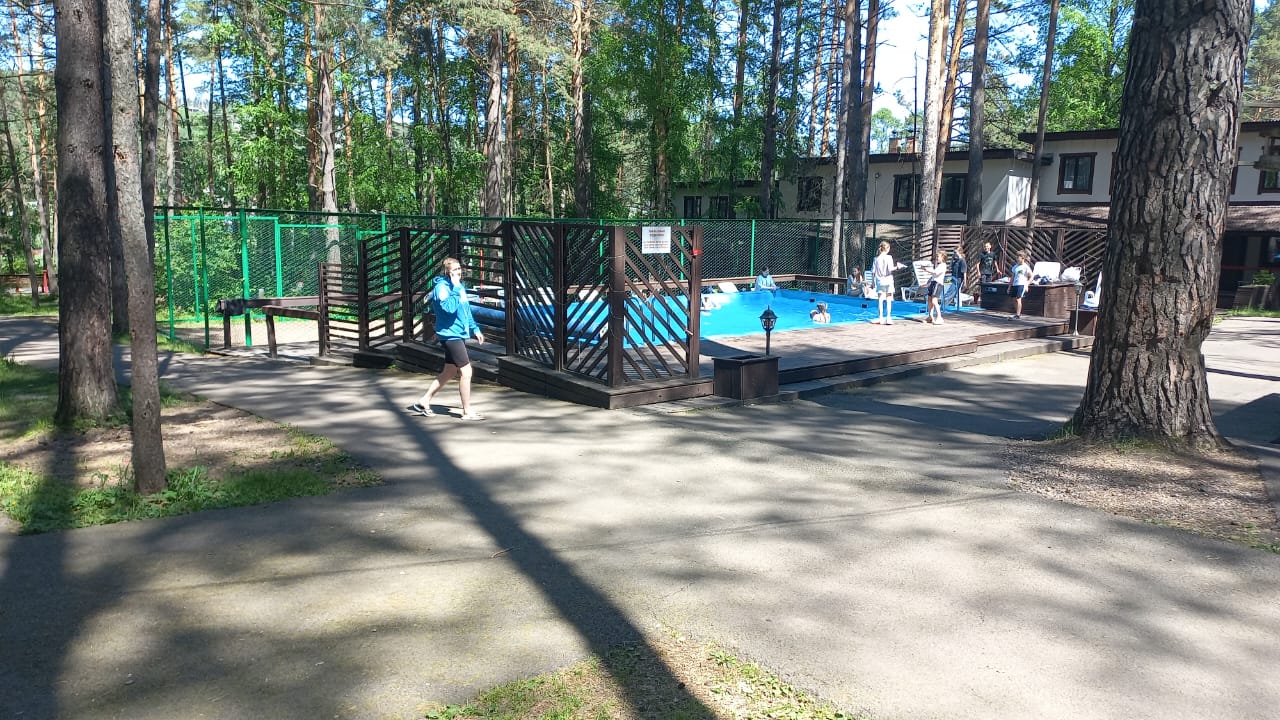 Фото Брусника