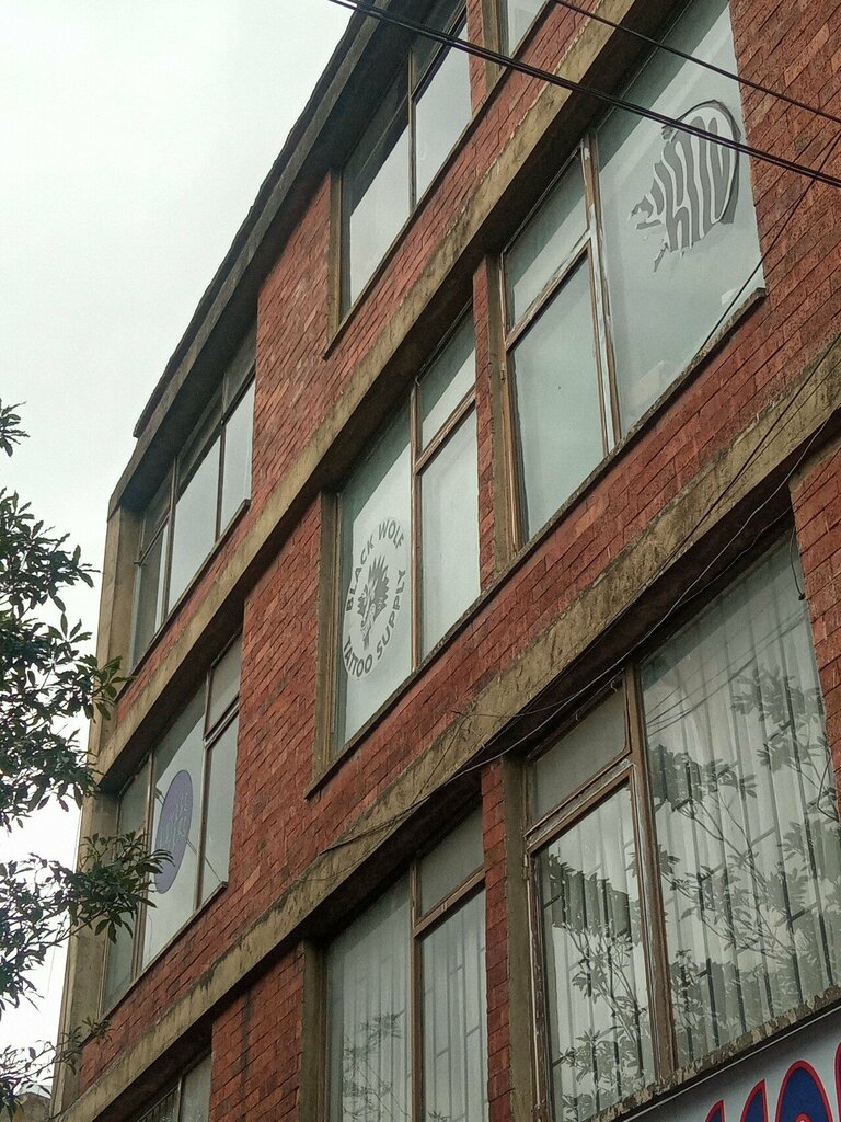 Tattoo studio Black Wolf, Bogota, photo