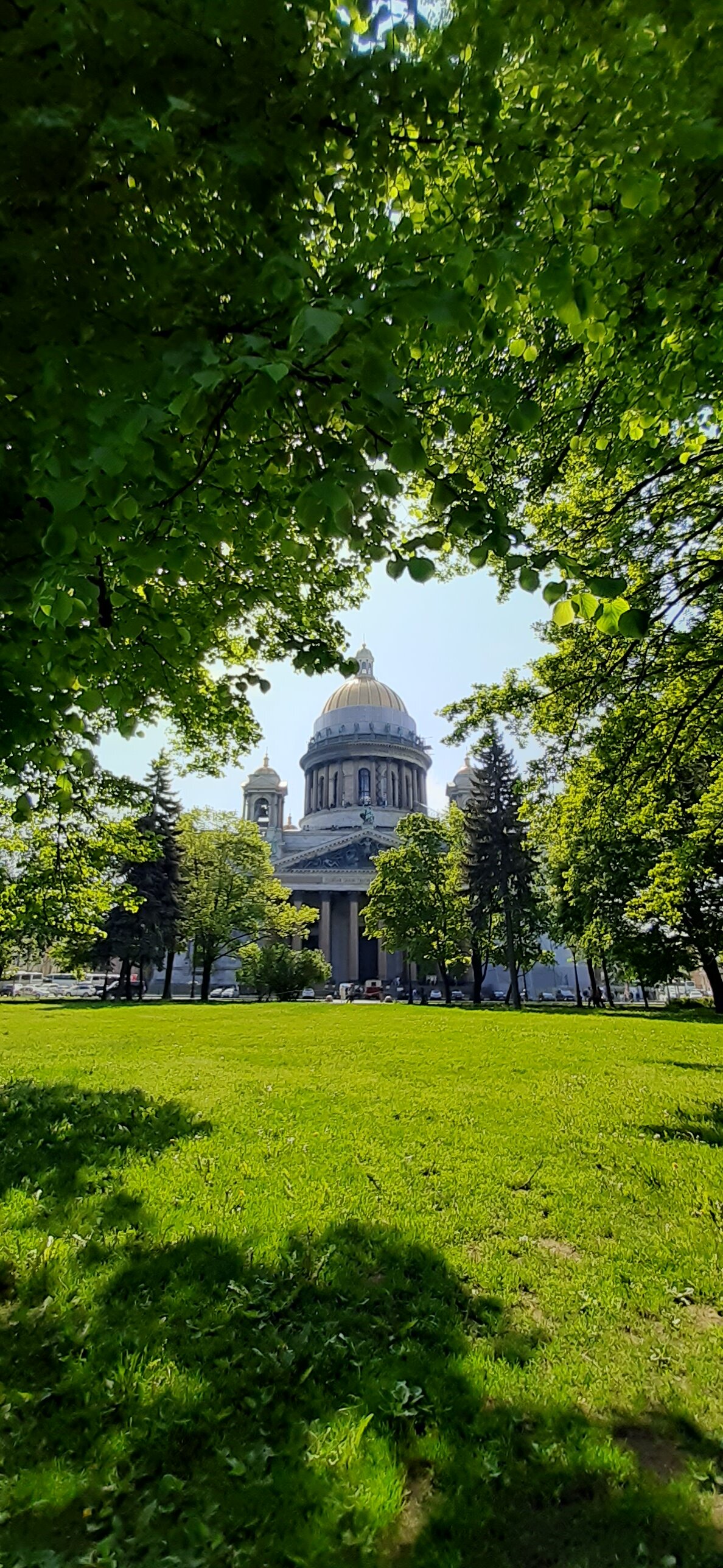 Фото Рапсодия