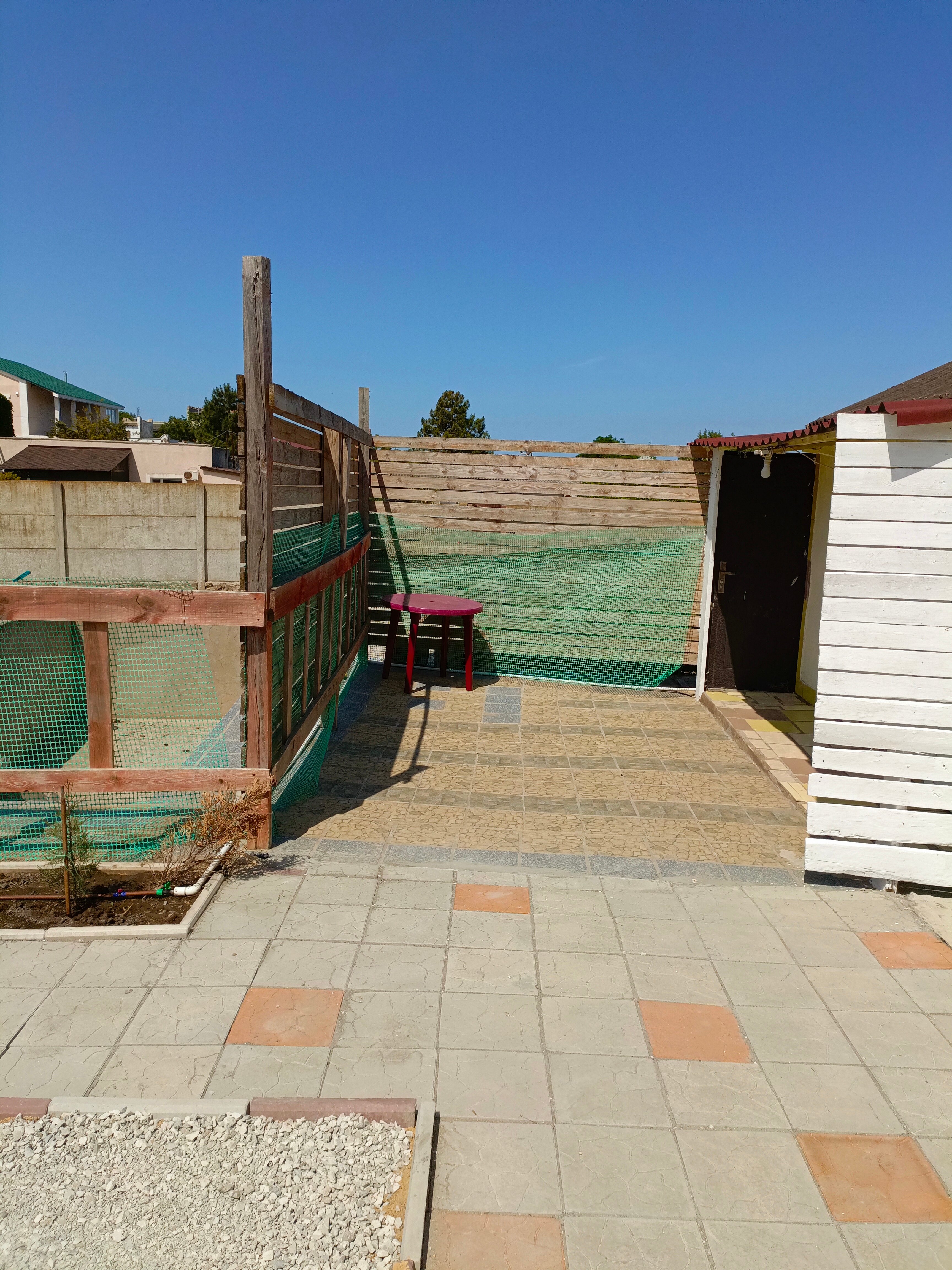 Фото Смайлик