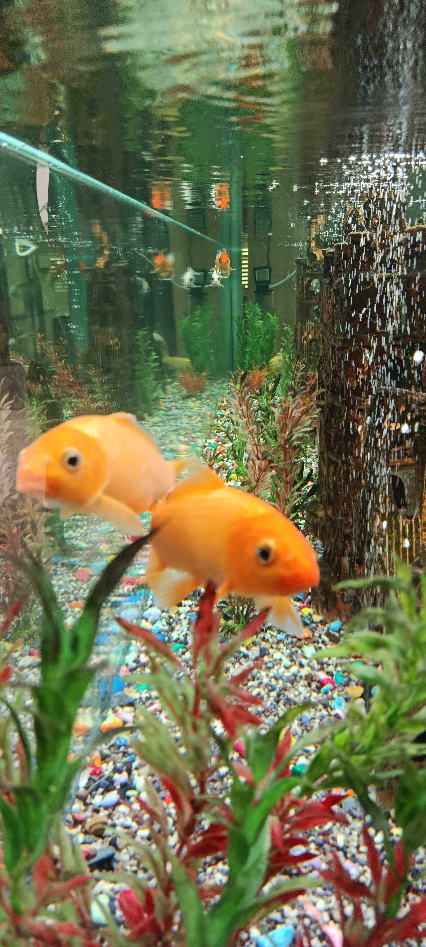 Фото Гранд Бухара