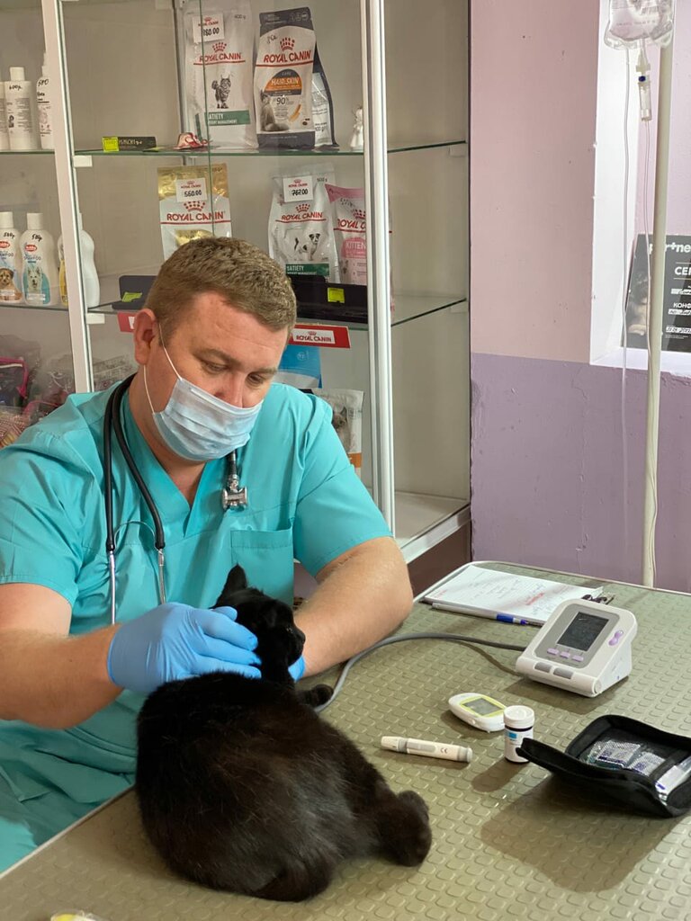Veterinary clinic Ветеринарная клиника доктора Синкевич, Omsk, photo