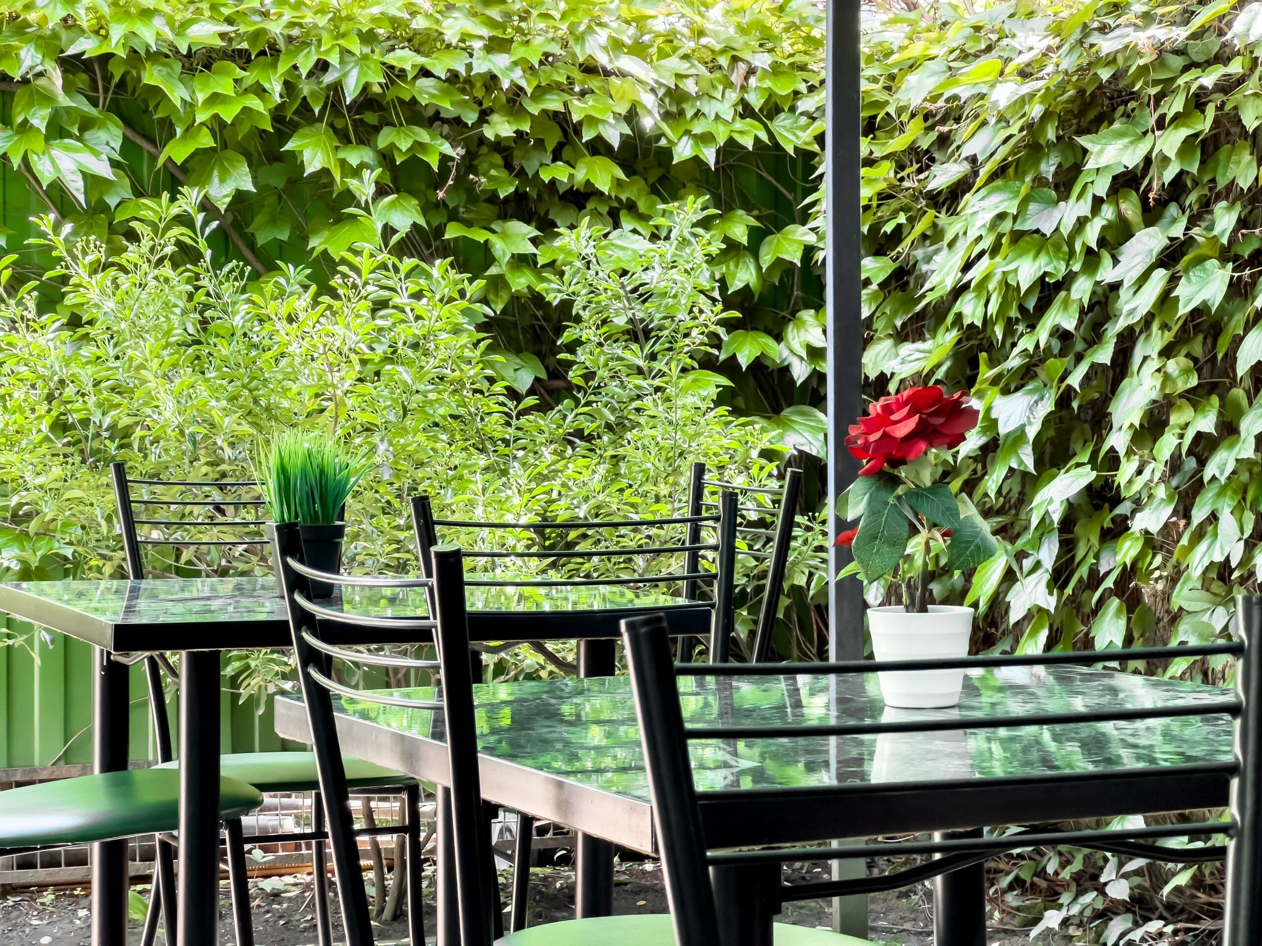 Фото Viva Валентина