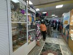 Головные уборы (250 letiya Chelyabinsk Street, 11), hat shop