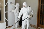 DezPS (Chermyanskaya Street, 3), desinfección, desinsectación, desratización