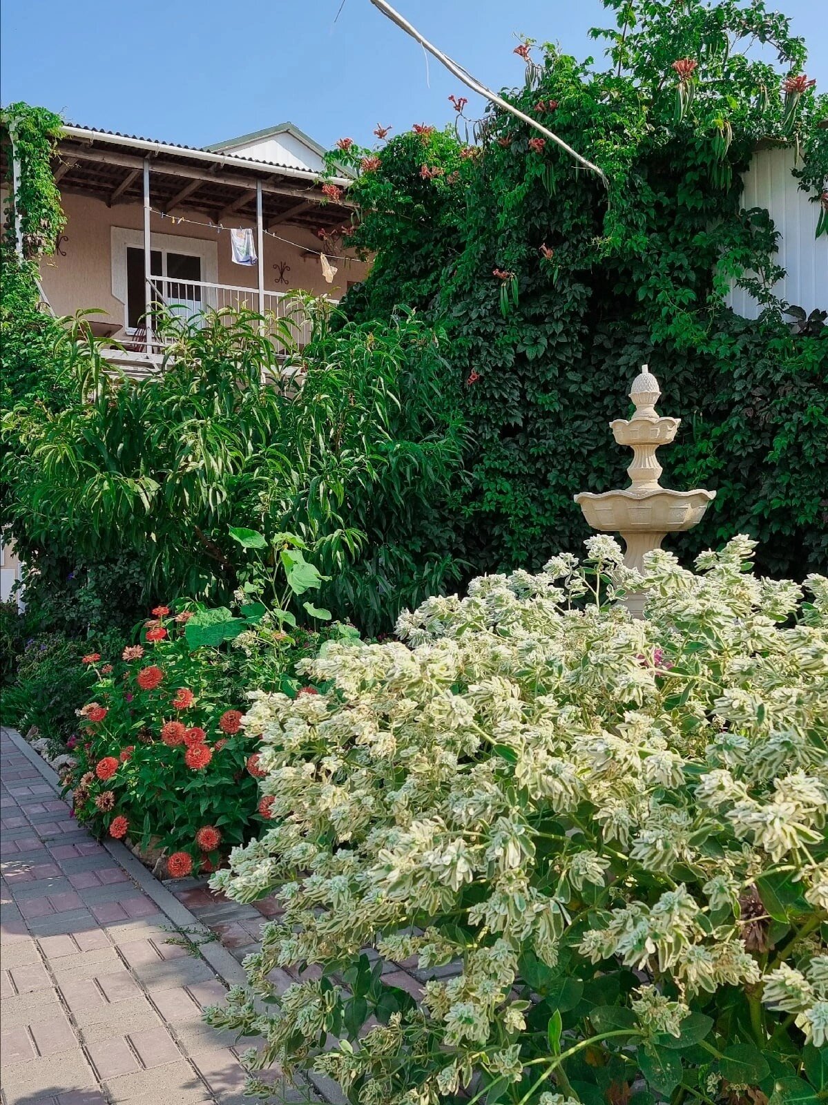 Фото Солнечный домик