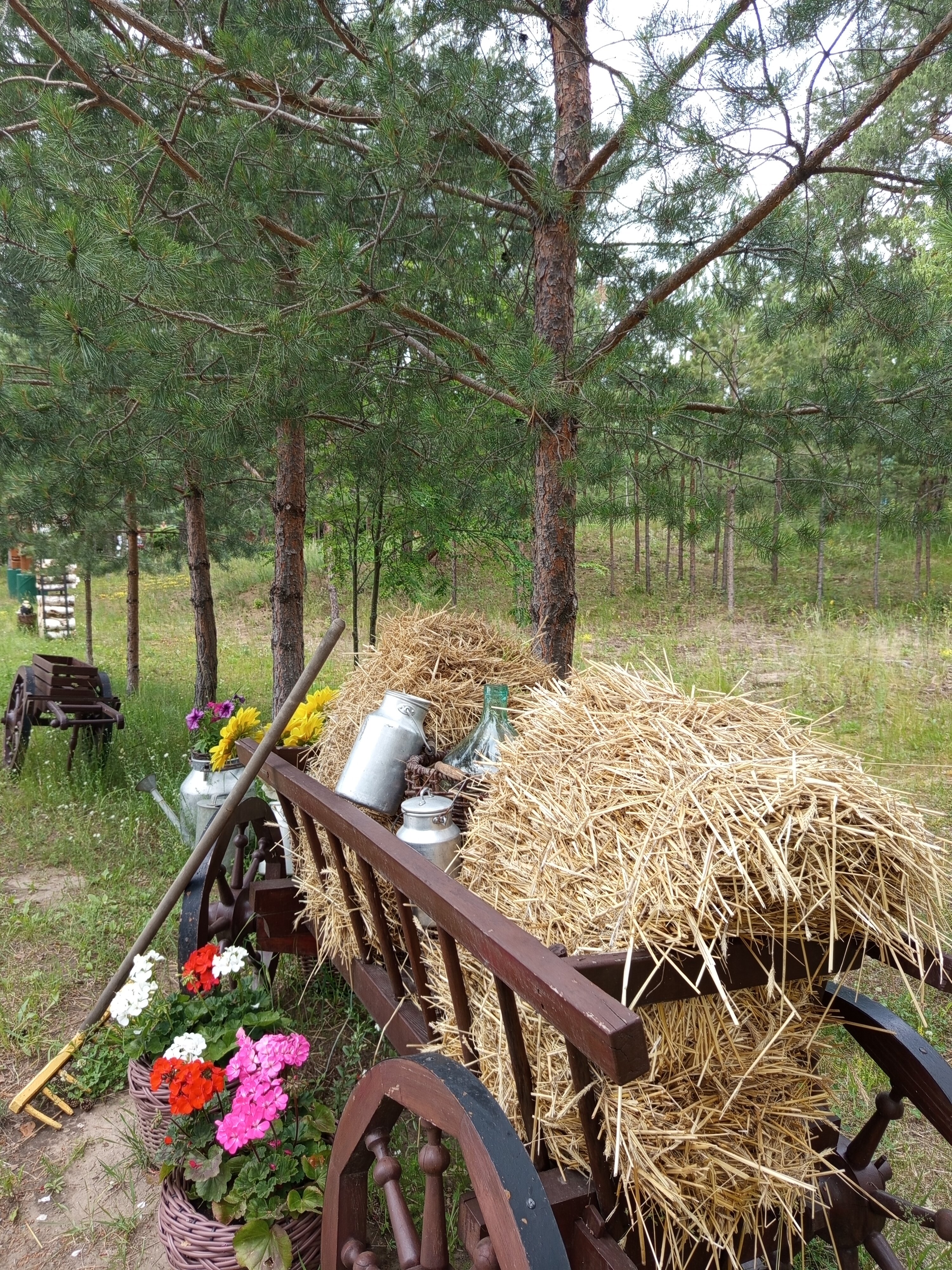 Фото Волжская деревня