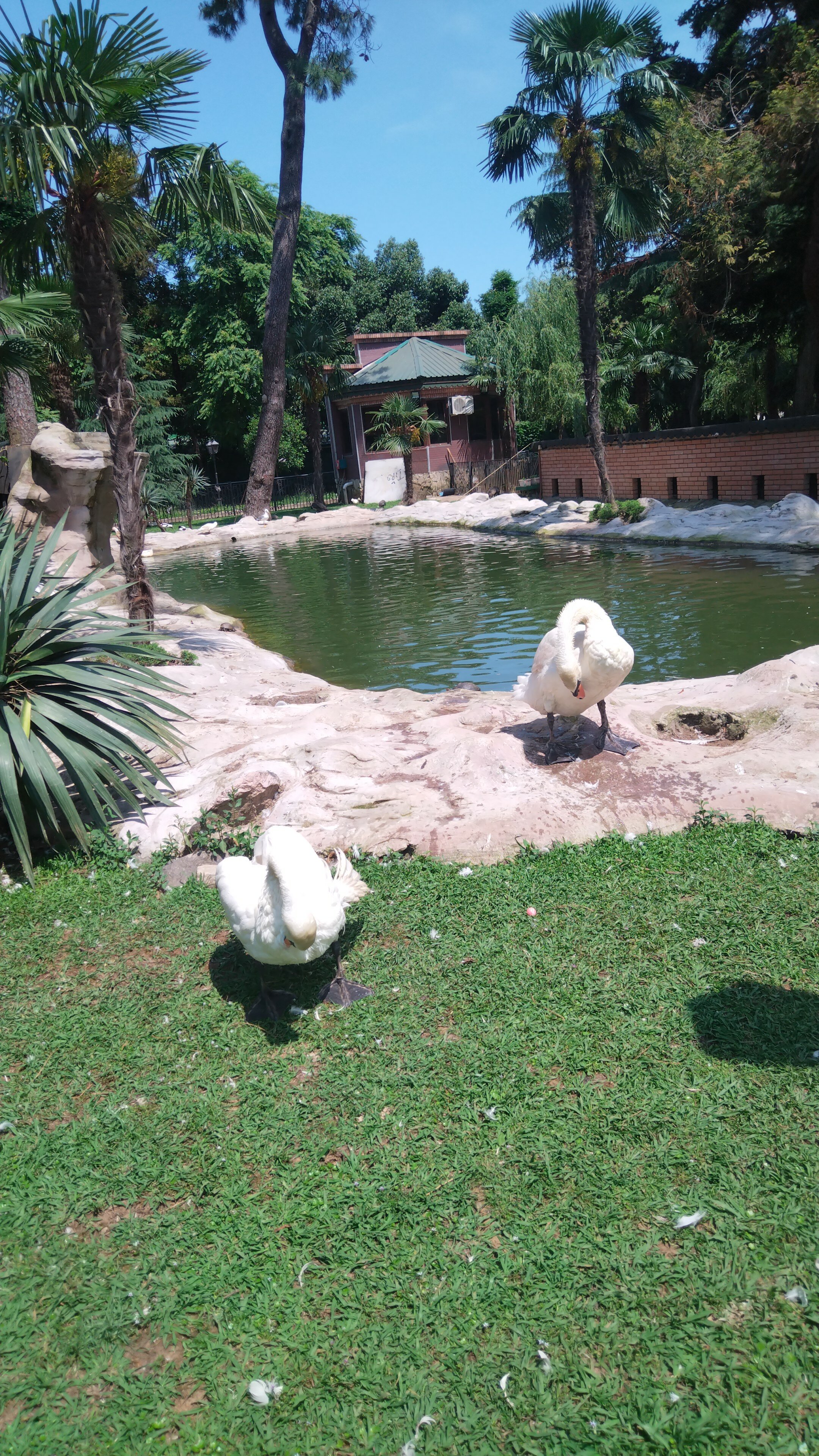 Фото 181974327857