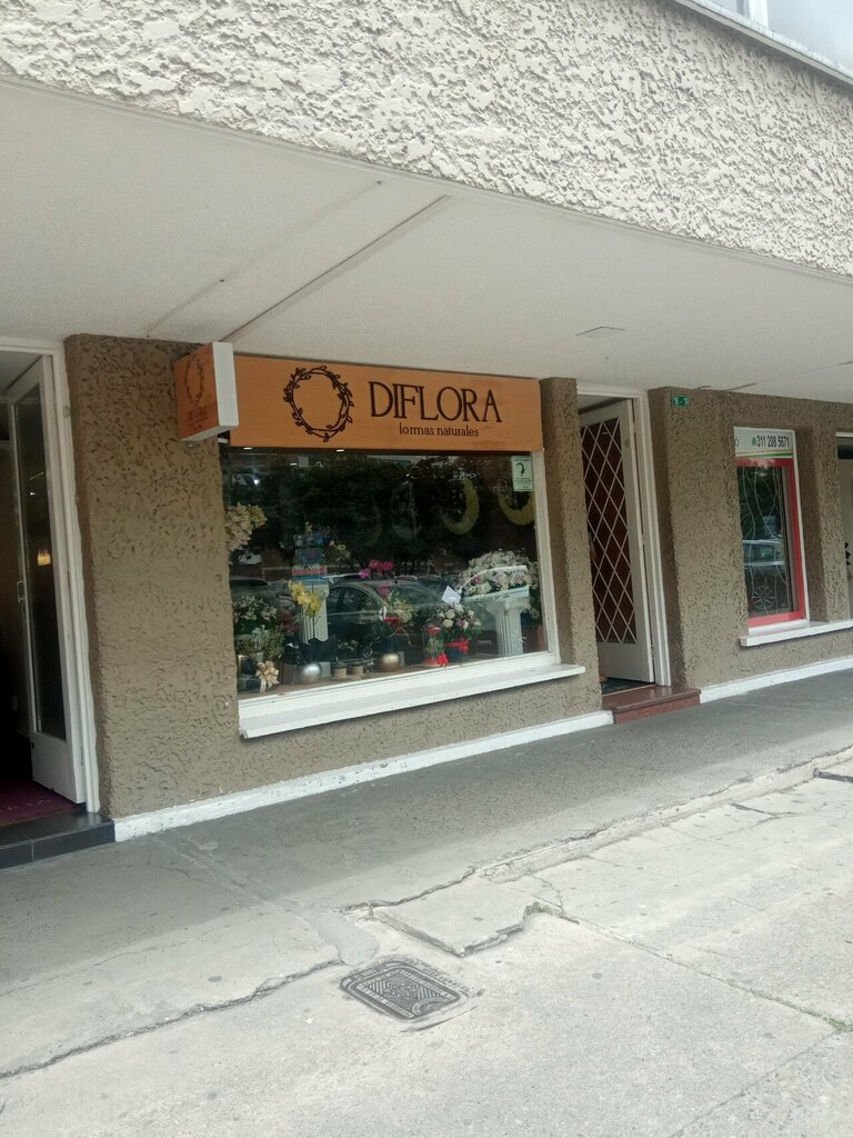 Flower shop Diflora, Bogota, photo