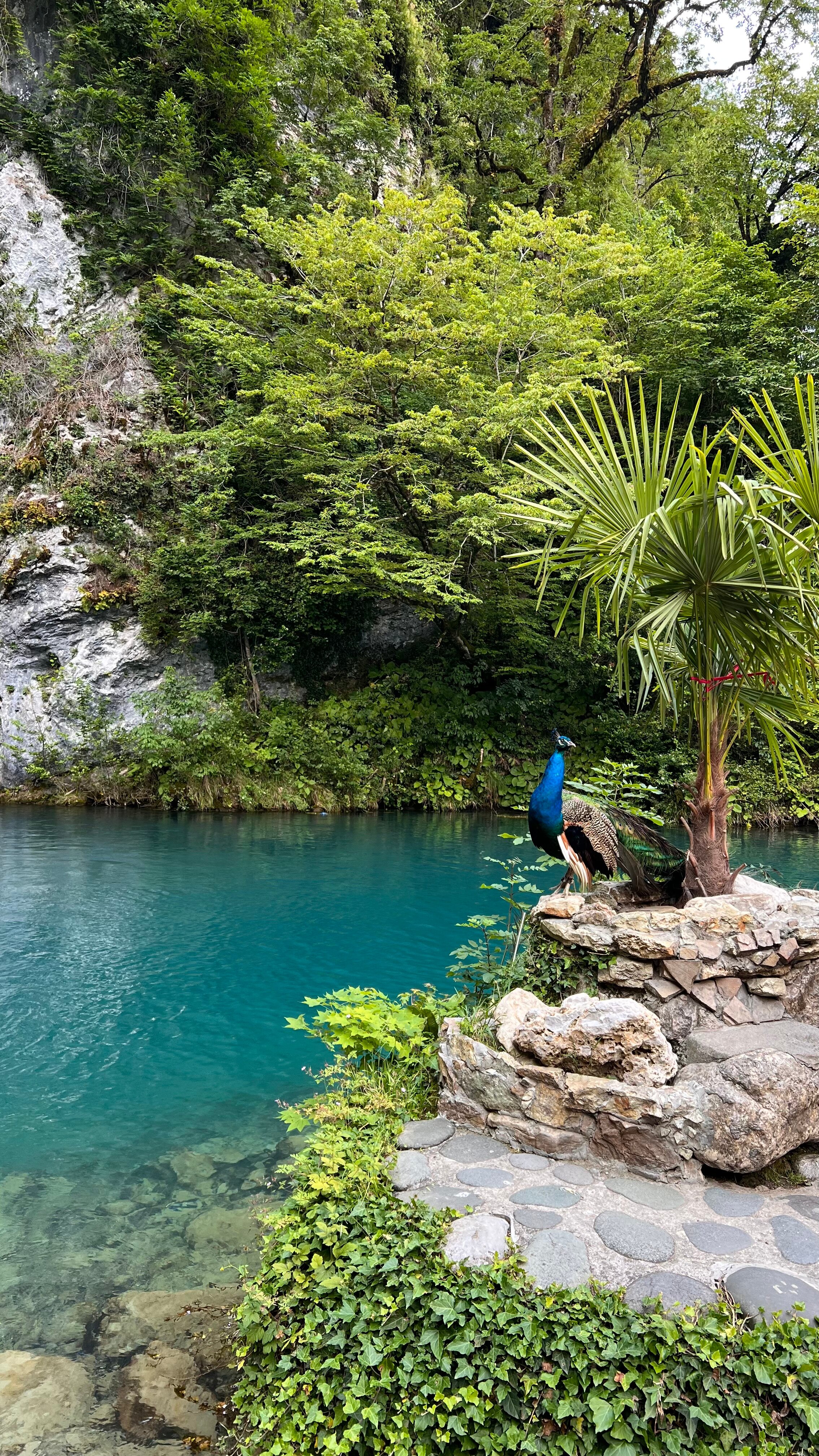 Фото Дом у моря