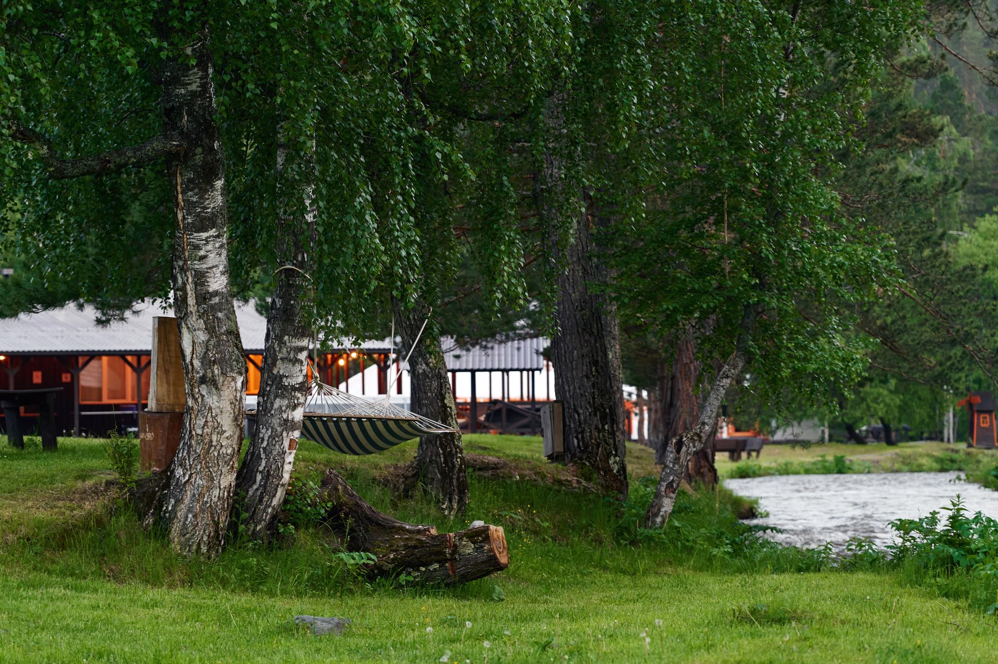 Фото Айбарка