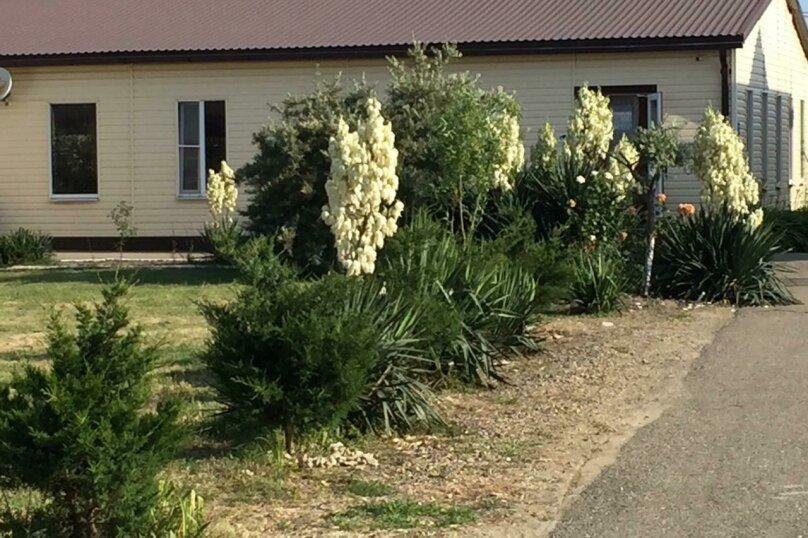 Фото Серебристый лог