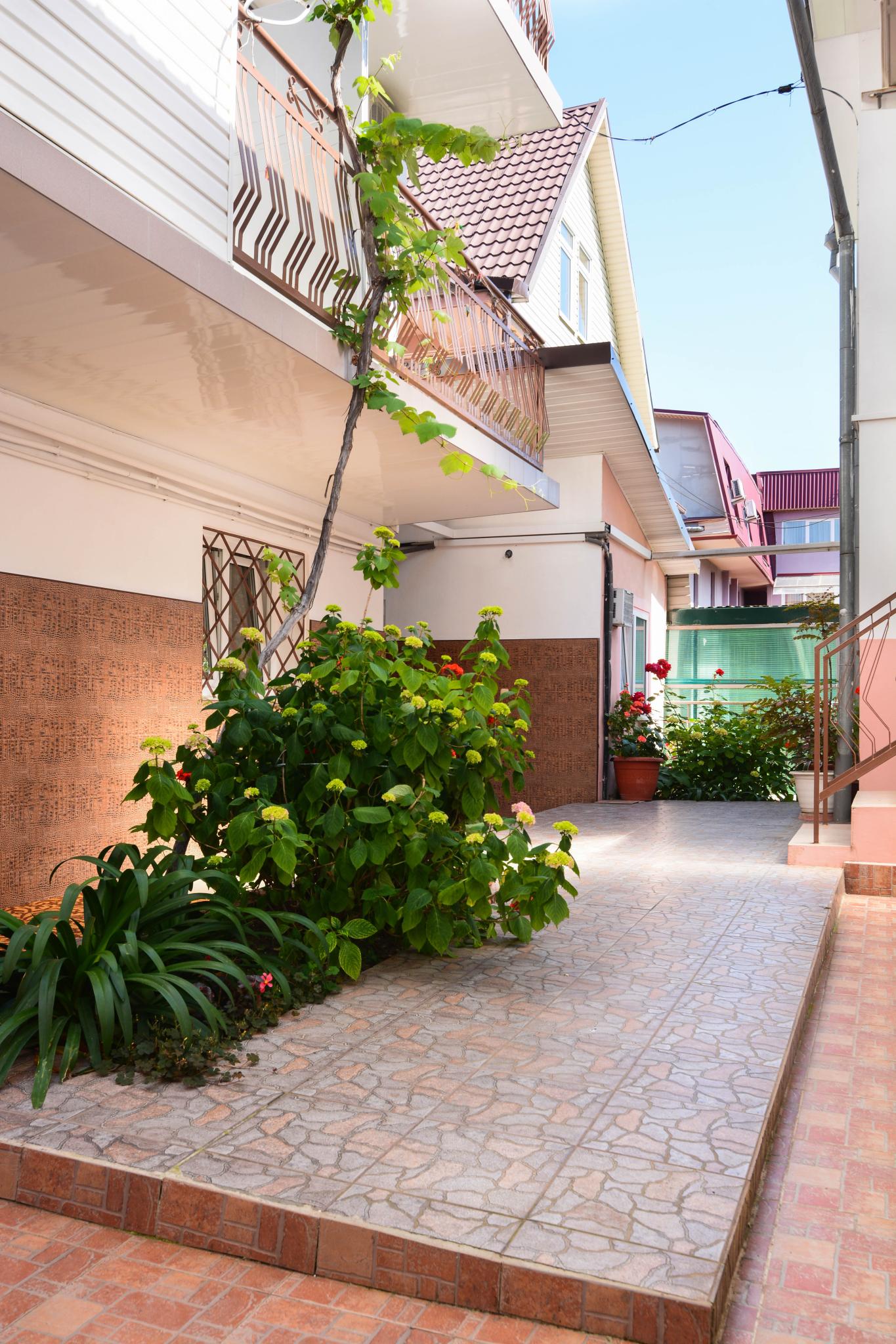 Фото Звёздочка