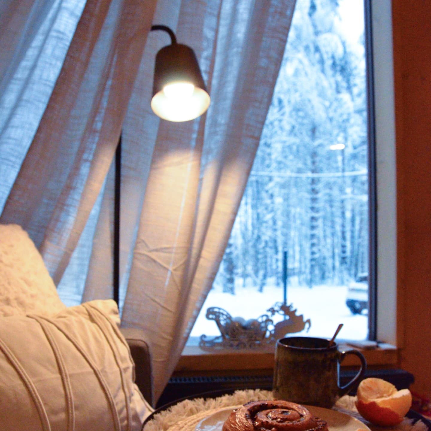 Фото Шишки Парк