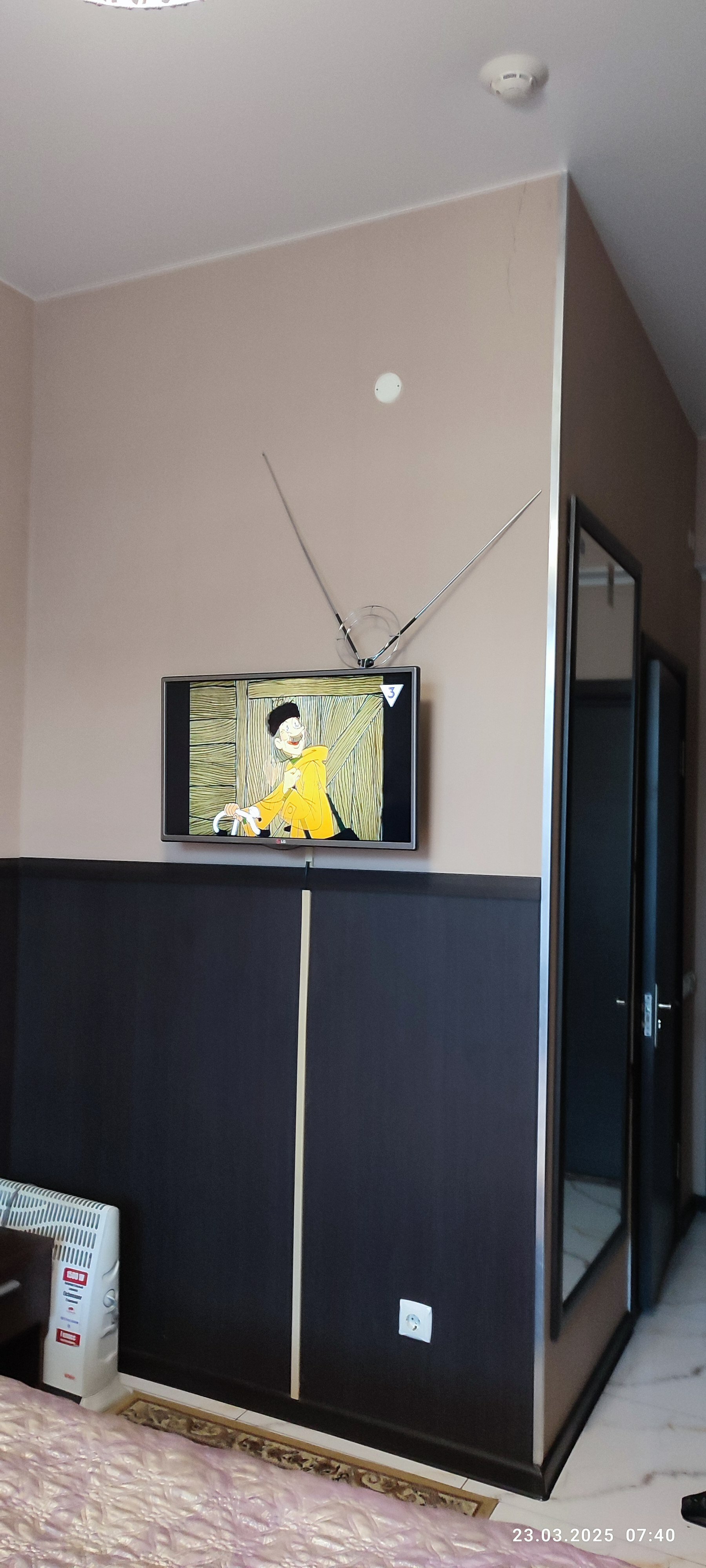 Фото Альбатрос