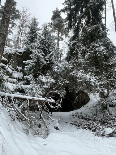 Гейлердің жасырын камерасының порносын қараңыз