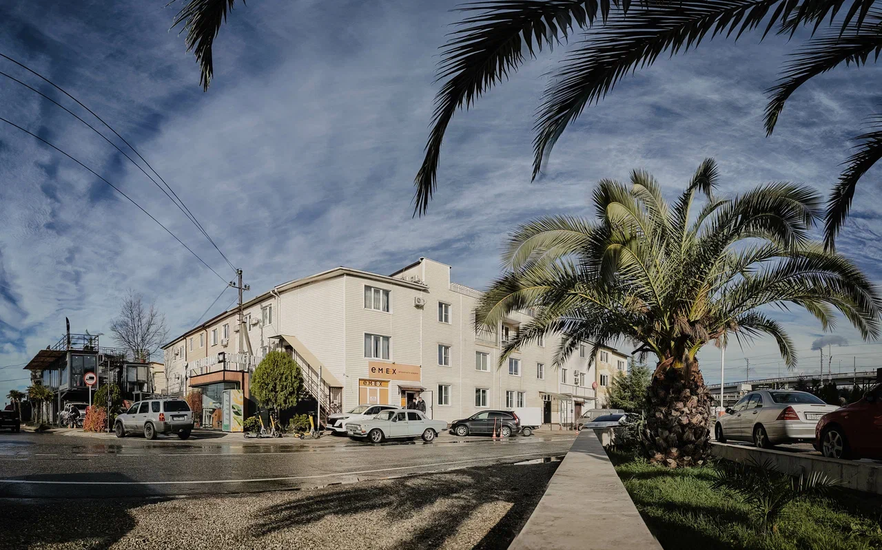 Фото Старый Лис