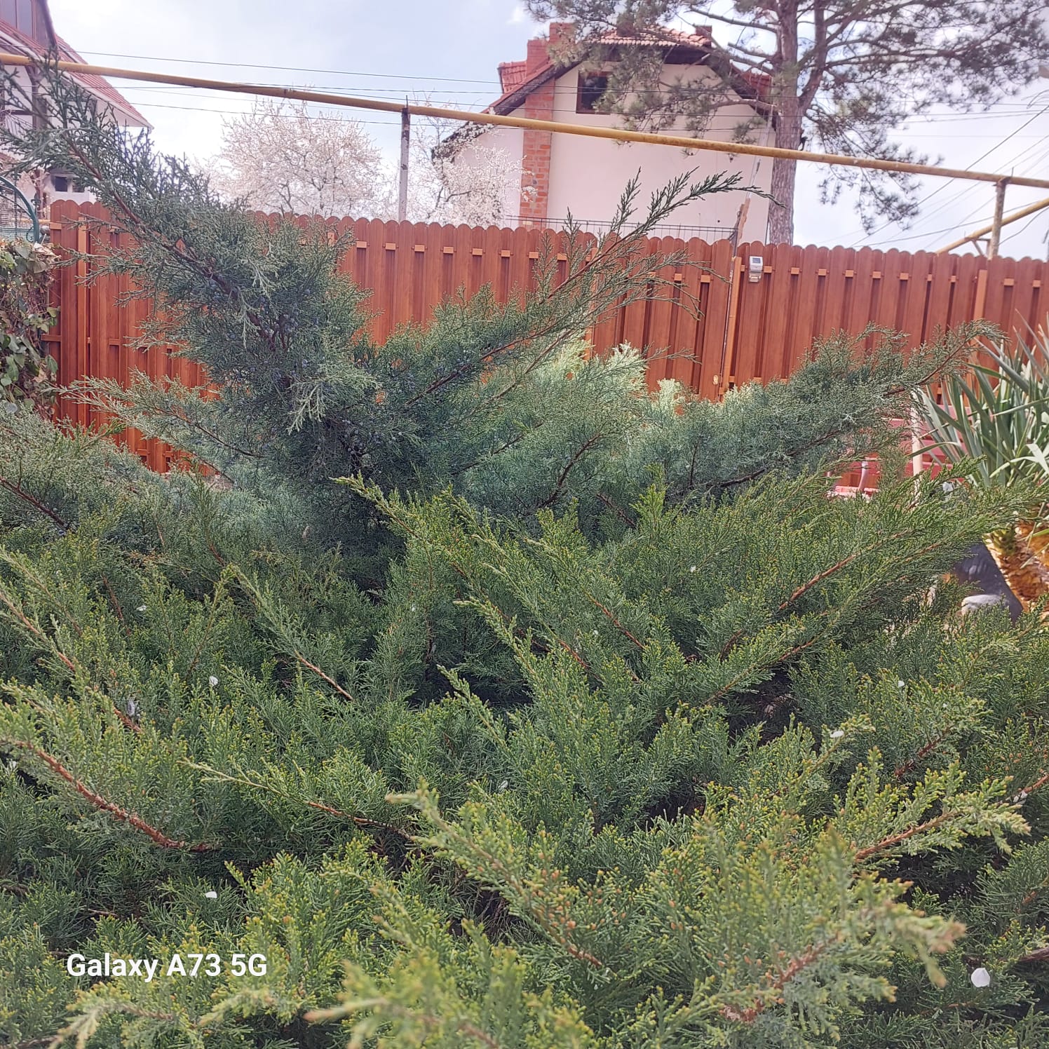 Фото Солнечный бриз