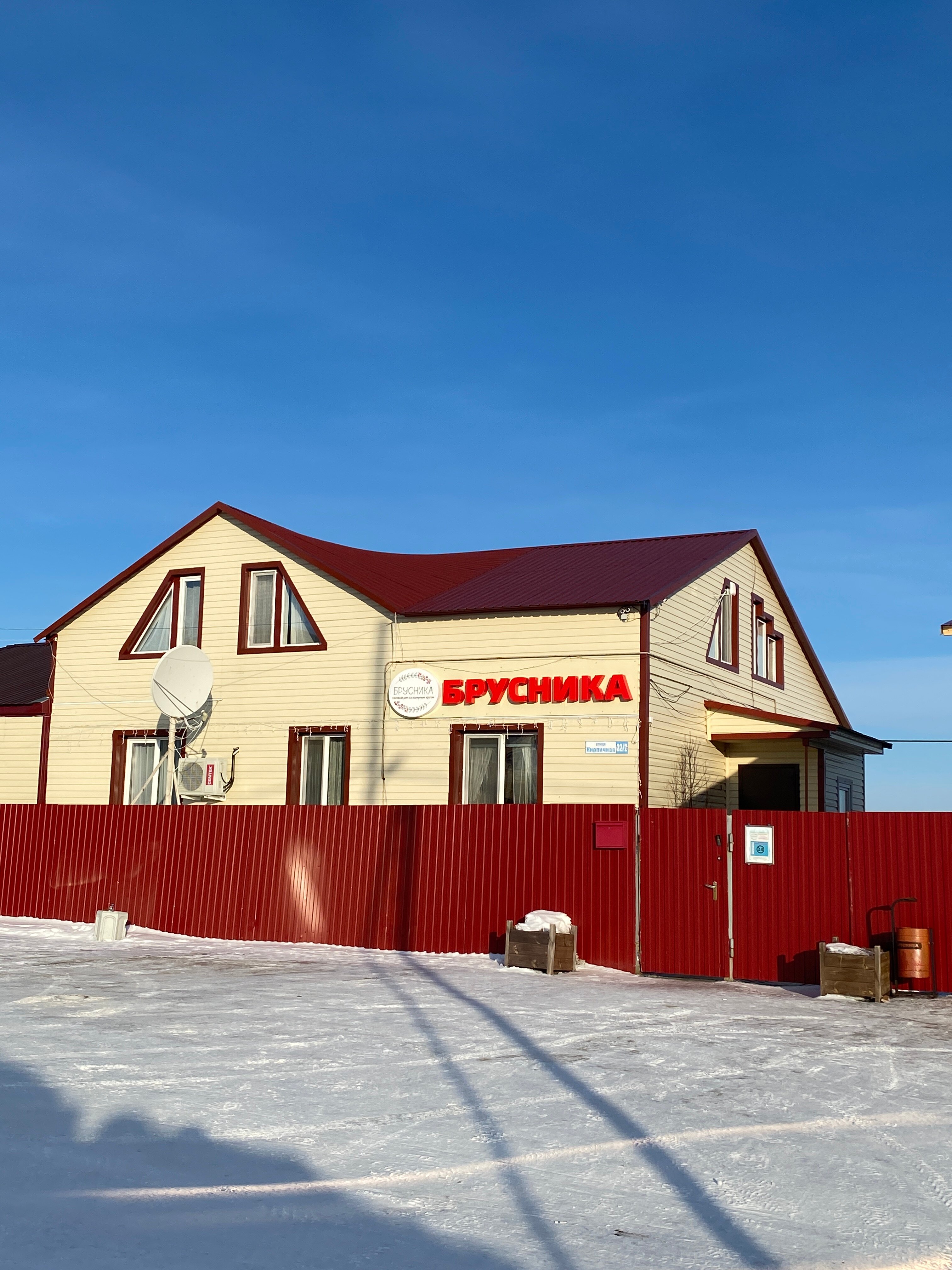 Фото Брусника