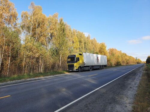 БДСМ әйелдердің порно видеосы