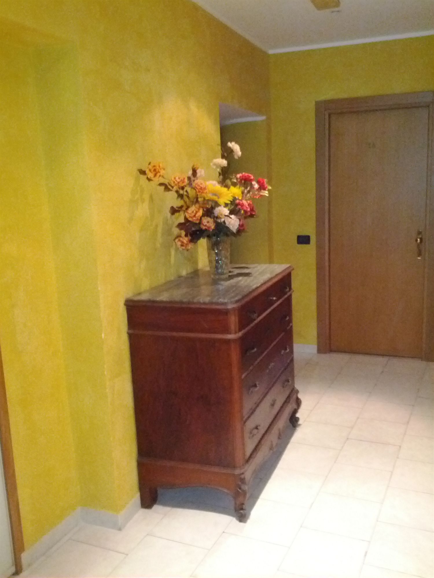 Фото Hotel Armonia